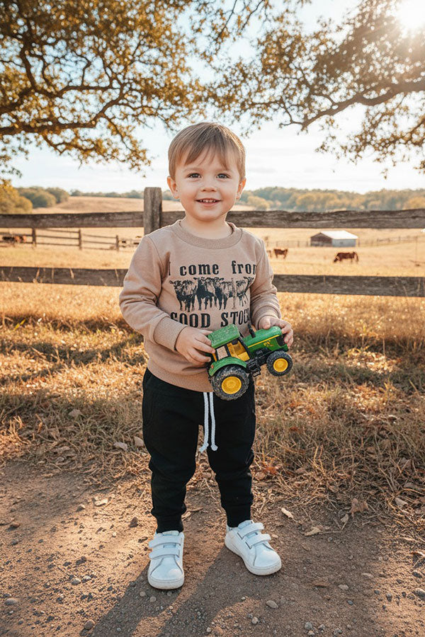 Western "I come from GOOD STOCK" sweatshirt & pant boy's boutique set 2601112M