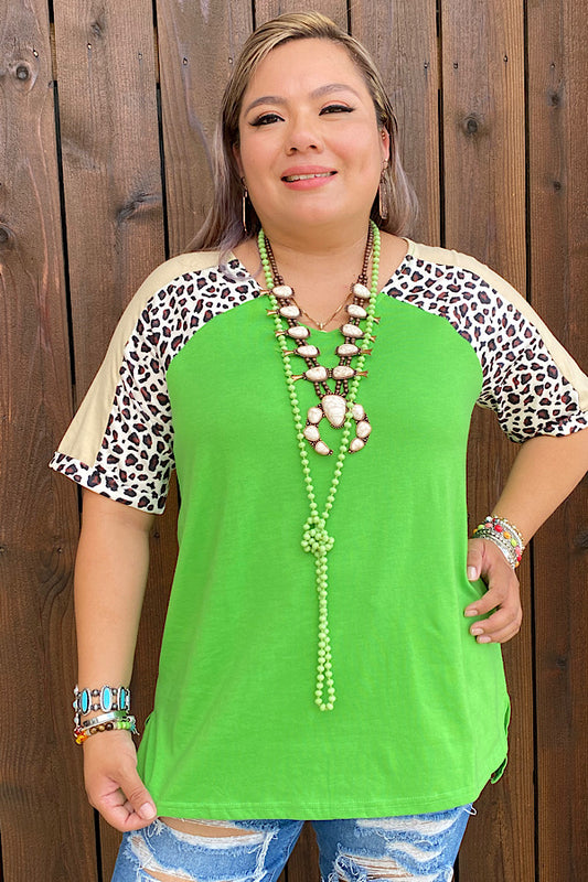 BQ13599S LIGHT GREEN & LEOPARD SHORT SLEEVE V NECK TOP