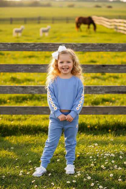 Blue long sleeve pullover shirt & pant 2pcs girls clothing sets w/daisy DLH2815