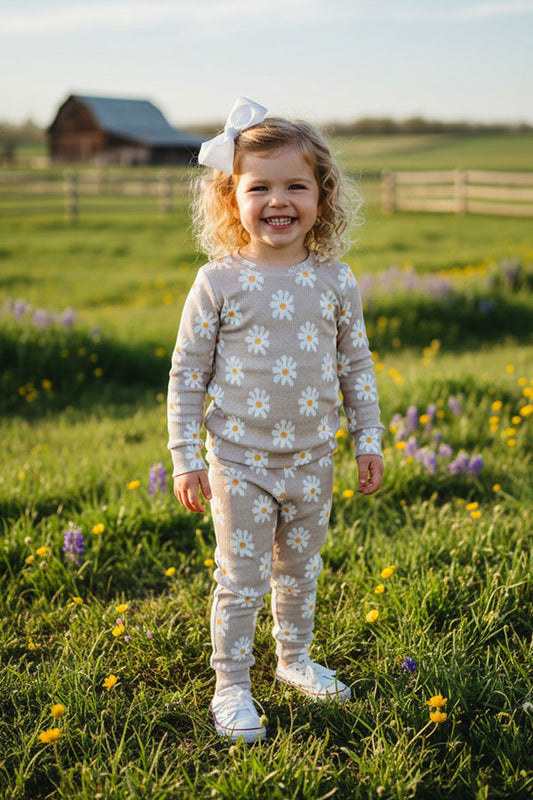 Daisy prints pullover sweatshirts & pant 2pc girls clothing sets BQ2406