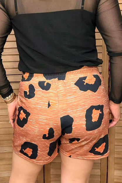 Casual brown leopard high waist w/elastic women's short YMY15006
