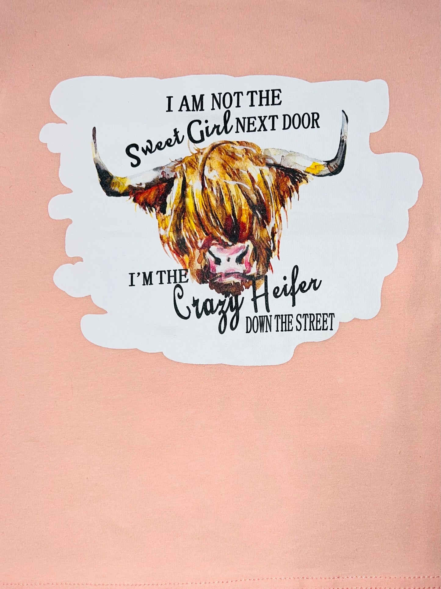 "I AM NOT THE SWEET GIRL NEXT DOOR" peach & floral bulls 2pc short sleeve set